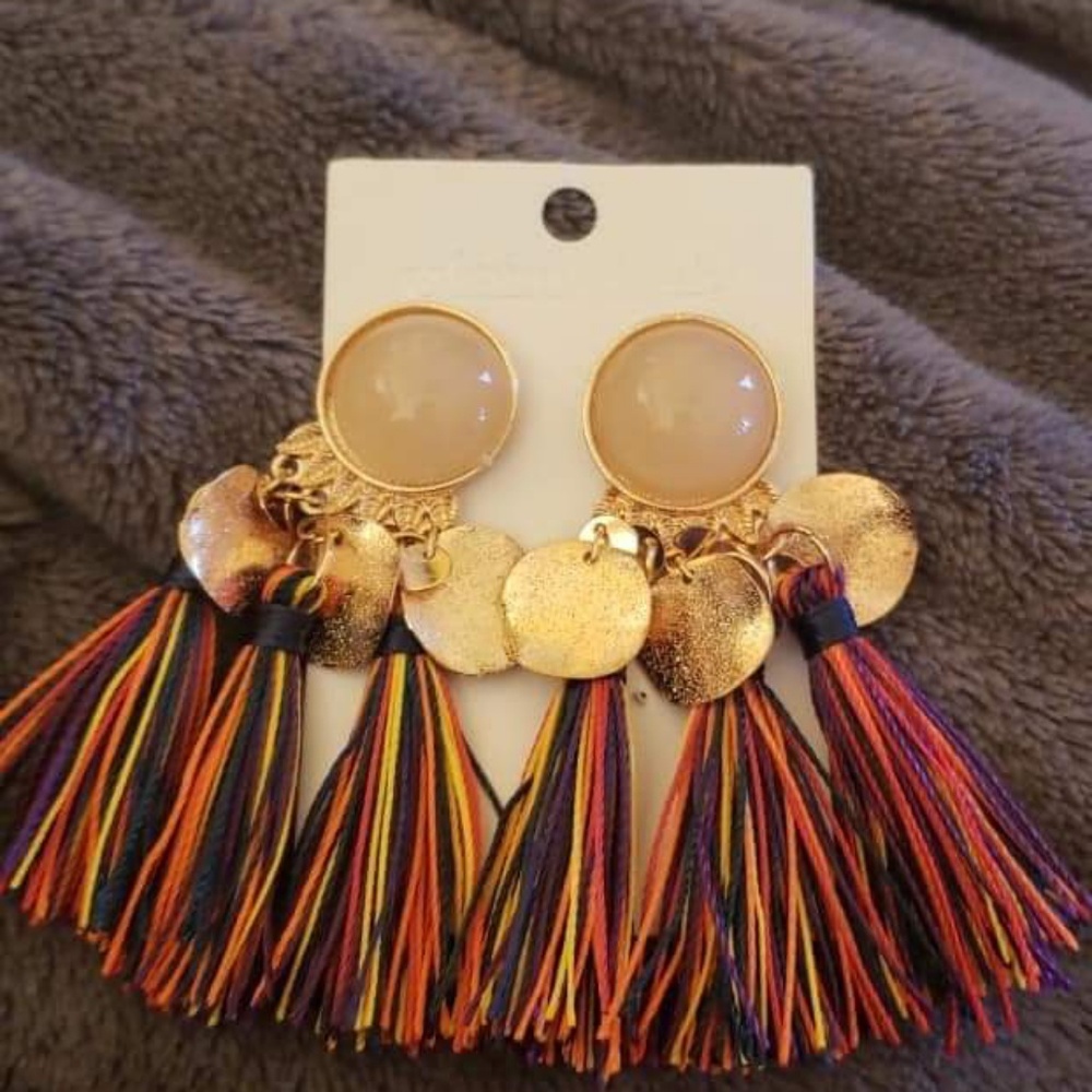 Tassel Earrings Multi-colored tassels